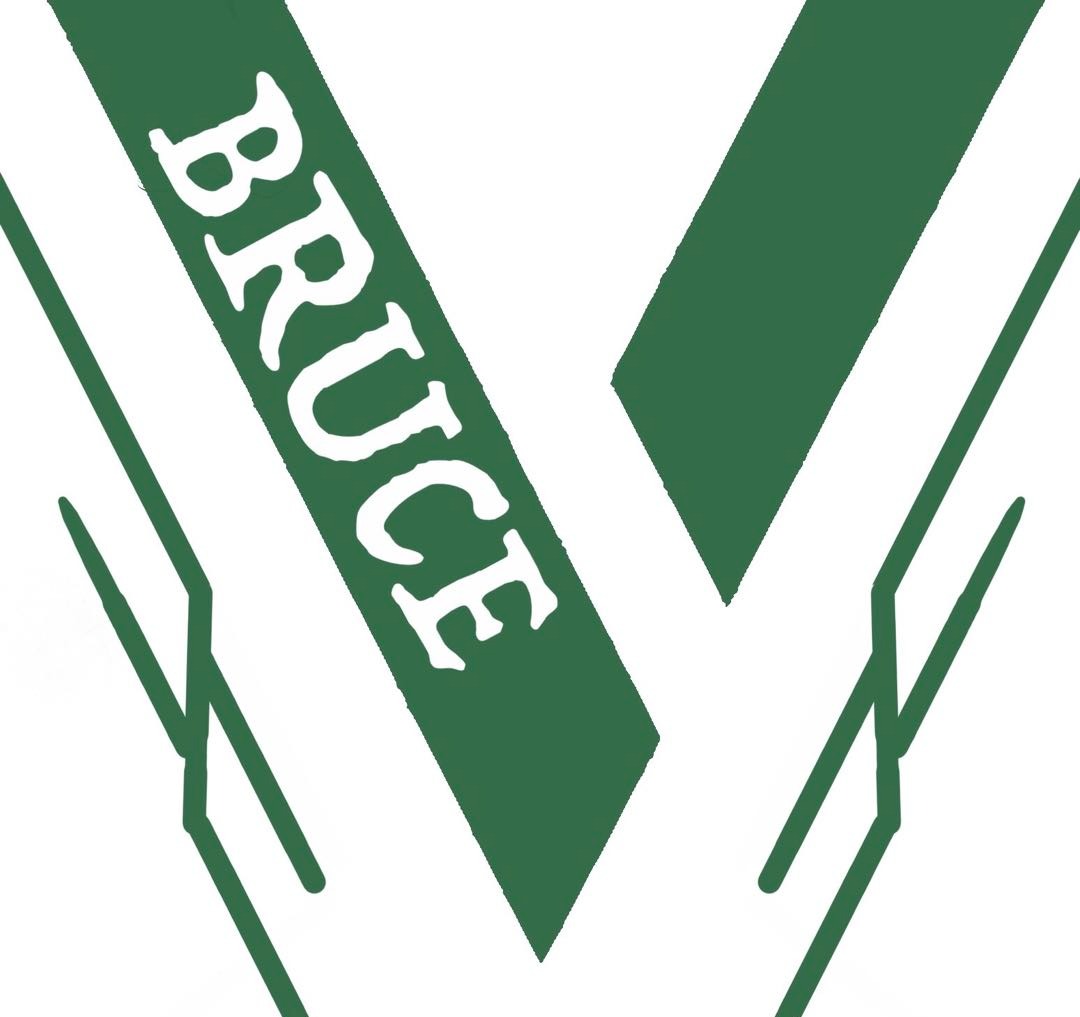 VOYAGER robot render